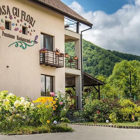 Pensiunea Casa Cu Flori Cisnadioara Ngoại thất bức ảnh