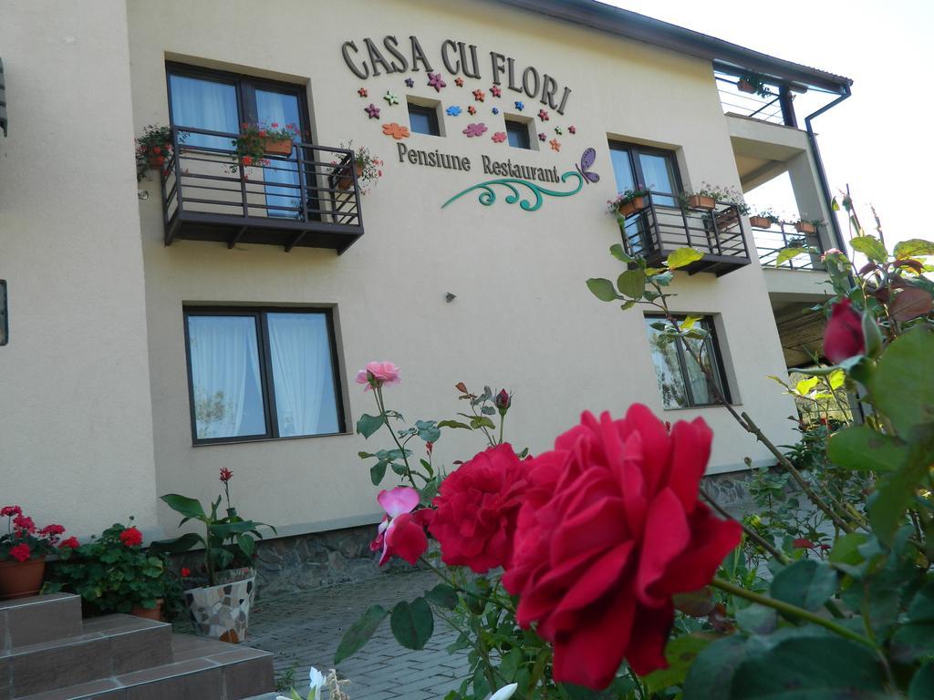 Pensiunea Casa Cu Flori Cisnadioara Ngoại thất bức ảnh