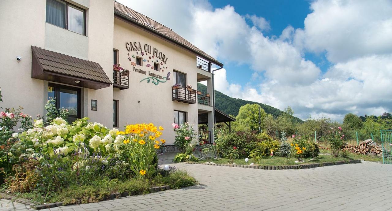 Pensiunea Casa Cu Flori Cisnadioara Ngoại thất bức ảnh
