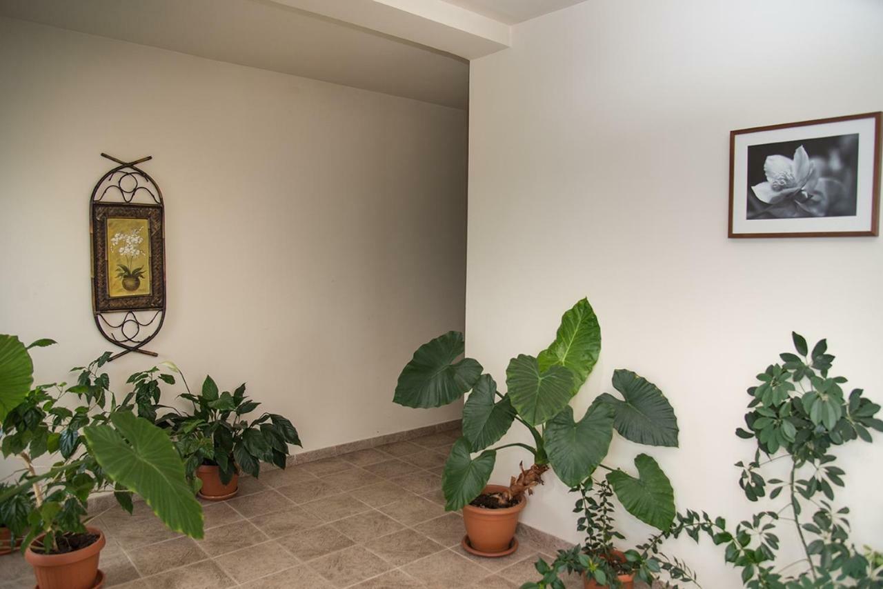 Pensiunea Casa Cu Flori Cisnadioara Ngoại thất bức ảnh