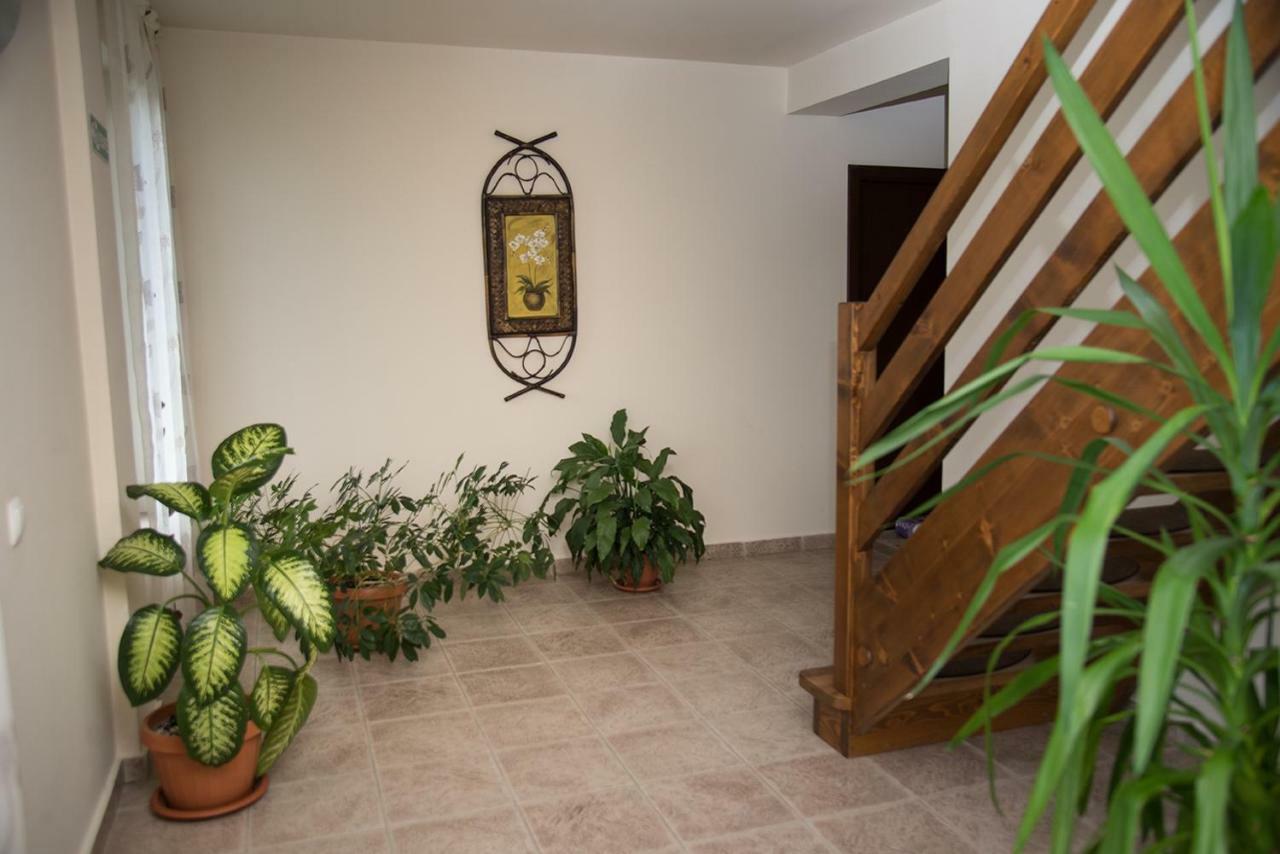 Pensiunea Casa Cu Flori Cisnadioara Ngoại thất bức ảnh